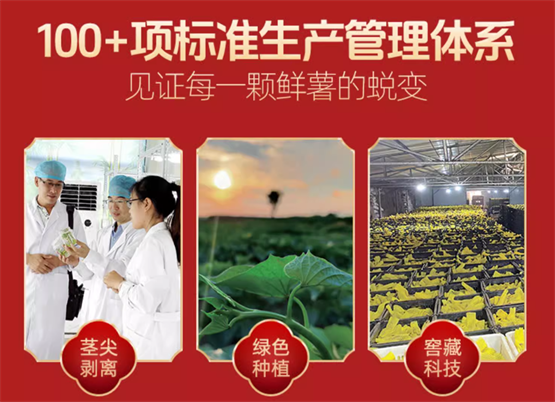 慧谷农业20年精研，“52度良作”打造高端红薯市场标杆