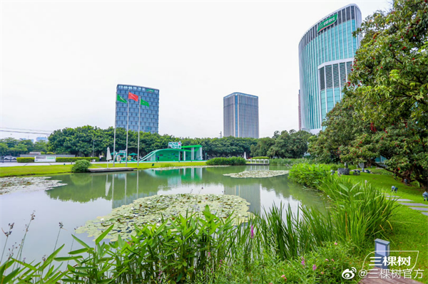洪杰与三棵树：追梦20载，道法自然天地宽