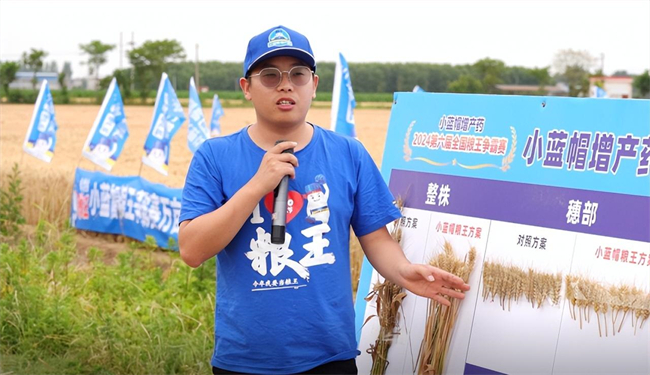 每亩多收564斤！小蓝帽增产药助力农户增产增收