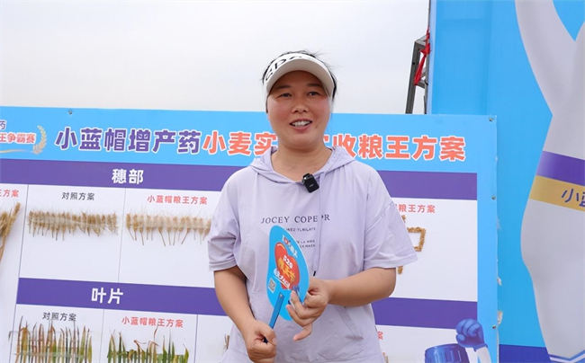 每亩多收564斤！小蓝帽增产药助力农户增产增收