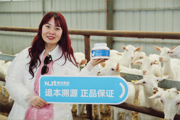【那拉集团质量月】鲸灵好衣库深入本源乳业，探寻新疆好奶的纯净之源