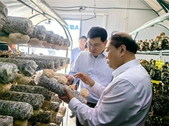 青岛市委副书记、市长赵豪志到双塔子公司调研