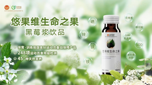 中国黑莓采摘节——中国自主研发的第一黑莓品种
