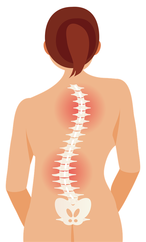 圣爱成立首家脊柱健康中医馆，个性化治疗方案呵护脊柱健康