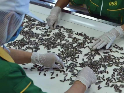 品味非凡，尊享高端大气的精品瓜子品牌馋猫聪聪