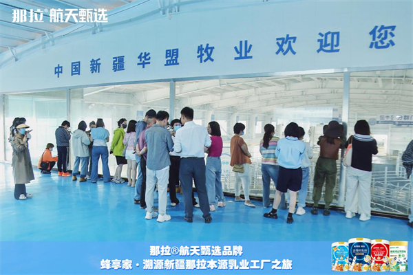 溯源新疆骆驼奶 