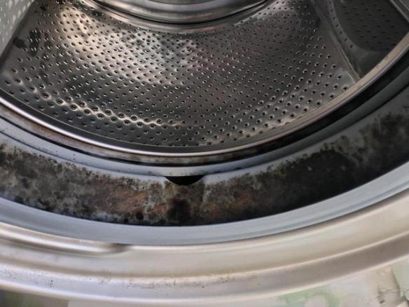 奇怪的知识增加了：十种你以为很干净 实际很脏的东西