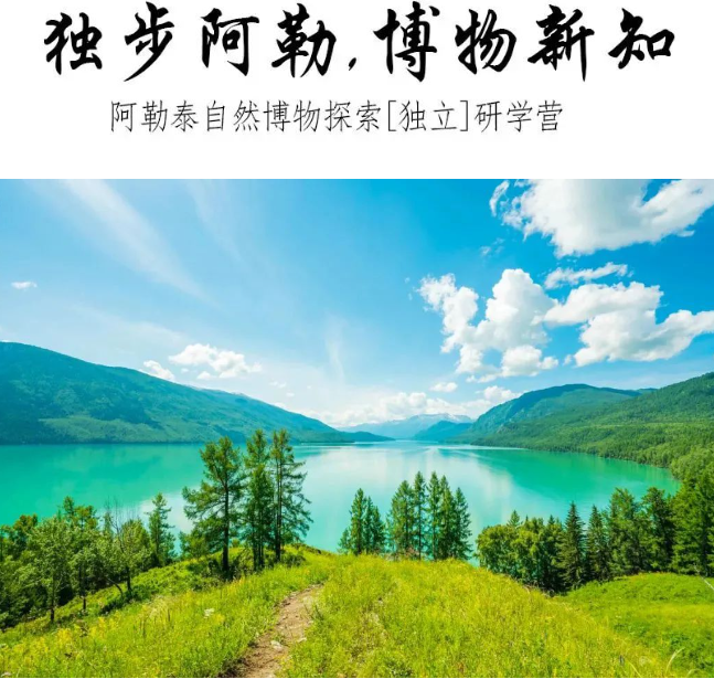 上海中小学研学基地哪个好？小学生户外主题研学旅行去哪里？