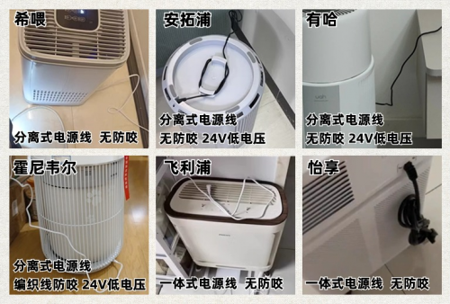宠物空气净化器怎么选？看这几点肯定不会错！