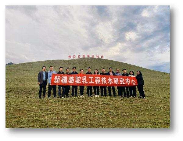 【那拉集团】那拉丝醇驼奶品质鉴证之旅—驼起致富路，逐梦新疆行