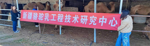 【那拉集团】那拉丝醇驼奶品质鉴证之旅—驼起致富路，逐梦新疆行
