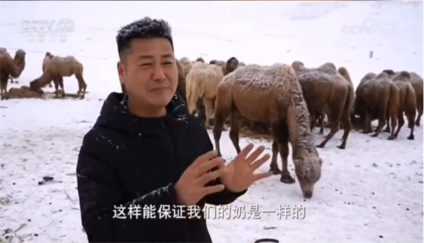 搞事情，那拉这次真的玩大了！那拉集团深耕驼奶产业链只为一杯真驼奶