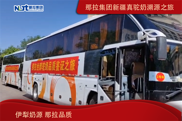 搞事情，那拉这次真的玩大了！那拉集团深耕驼奶产业链只为一杯真驼奶