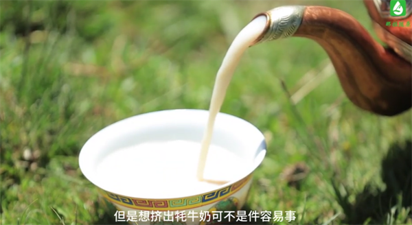那拉陇原乳业：央视优选展播品牌，赞普牧歌青海牦牛乳粉