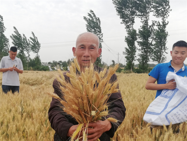小蓝帽增产药助力中国农业增产革命，守护粮食安全