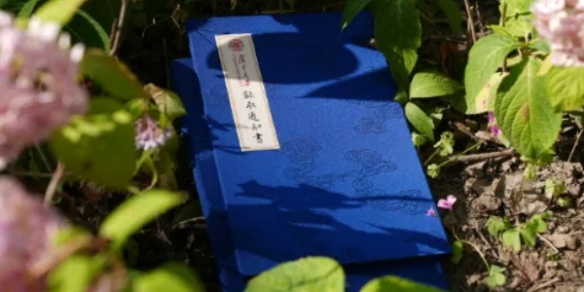 复旦录取通知书“新装”亮相：采用非遗潞绸为封