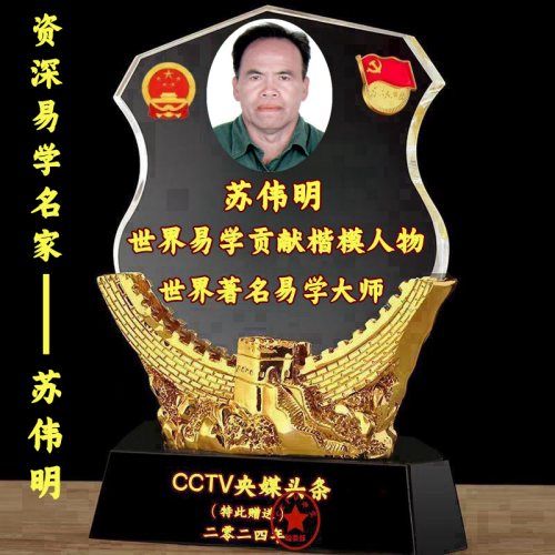 【喜迎七一建党节特别报道】中国当代易学泰斗——苏伟明