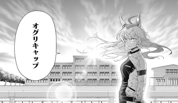 爆料：《赛马娘：芦毛灰姑娘》TV动画化 2025年开播