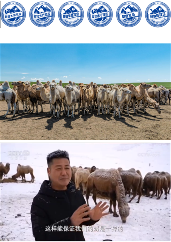 那拉集团那拉丝醇驼奶粉·致力于成为您健康生活的守护者