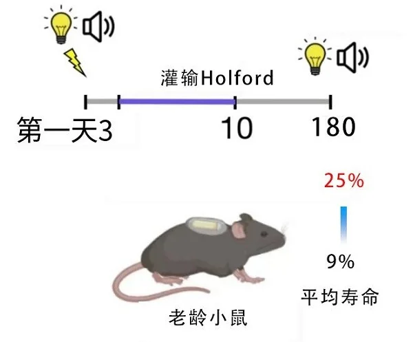 富豪与“死神”掰手腕,续命险中求?追求永葆青春的秘诀已经有了长寿编码