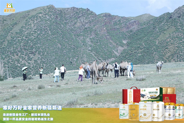 驼奶溯源·就找本源：走进新疆那拉本源乳业，溯源一杯真驼奶诞生之旅