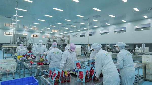 提升品牌价值，造福新疆社会，疆果果为新疆大坚果代言