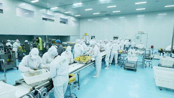 “疆果果”扎根新疆，严选核心产区优质原料