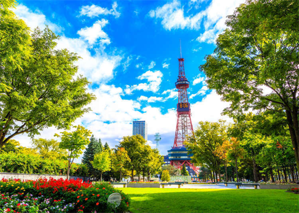 2024年暑期飞往北海道避暑吧！札幌小樽city walk路线推荐