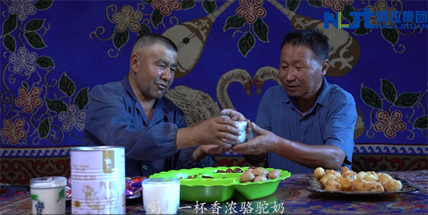 那拉集团那拉丝醇坚守新疆DBS65/023驼奶最高标准，真驼奶从牧场直达餐桌