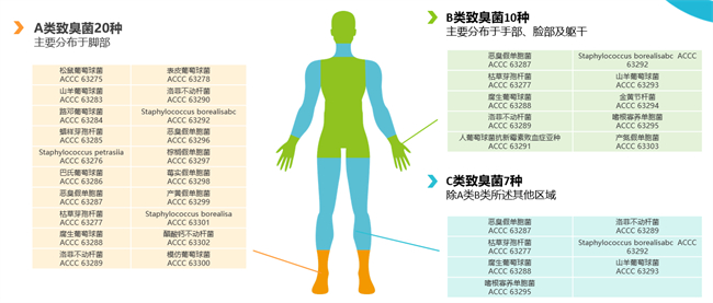 抗菌不等于防臭，禾素时代以抗致臭菌纤维，重塑健康抑臭生活标准