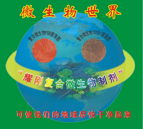 【彰显中国榜样时代楷模人物报道】 顶尖级复合微物专家任启刚博士