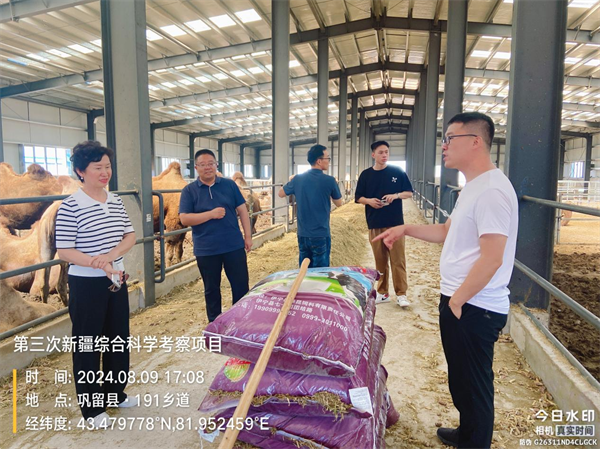 新疆农业大学深入那拉集团骆驼奶源养殖基地进行第三次科学考察