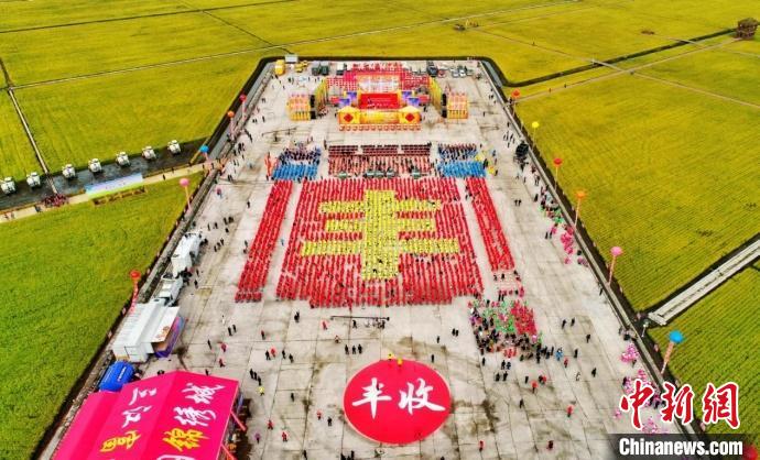 2024富锦半程马拉松举行 5000多名跑者稻田间开跑