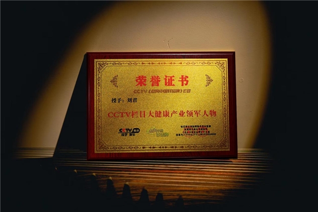  受颁CCTV栏目三大奖项，刘燕酿制开启大健康赛道典范 