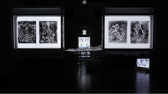 abcd啊啵呲嘚联合央美千里香提名作品亮相2024深圳国际珠宝展