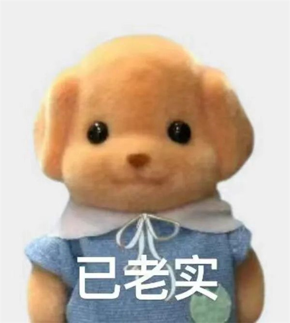 Chiikawa之后，森贝儿能成为新晋顶流吗？