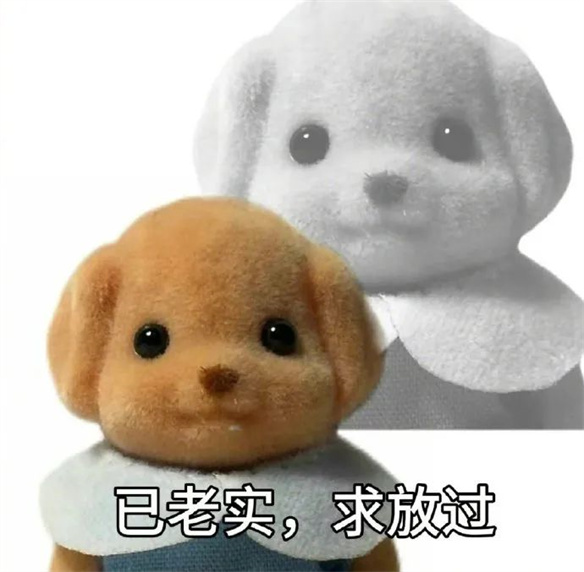 Chiikawa之后，森贝儿能成为新晋顶流吗？