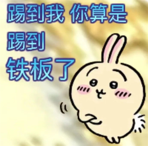 Chiikawa之后，森贝儿能成为新晋顶流吗？