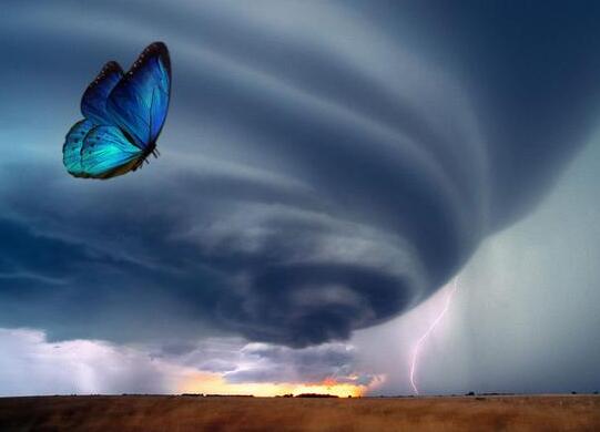 蝴蝶效应是什么意思，不要忽视生活中的小事，也许这决定你的将来！