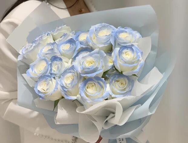 碎冰蓝玫瑰花语，碎冰蓝玫瑰和蓝玫瑰不是同一种花，不要搞错了！