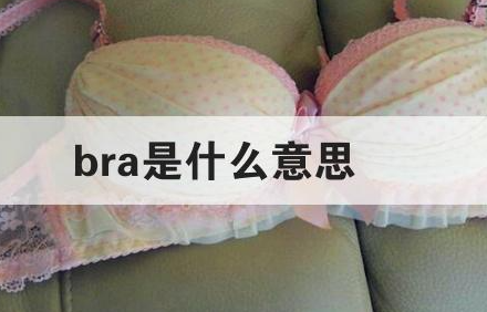 bra是啥意思呀？或许你知道他的中文名：文胸