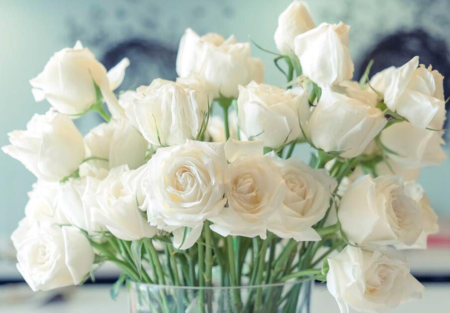 白玫瑰代表什么意思，不同颜色的玫瑰分别有哪些含义？