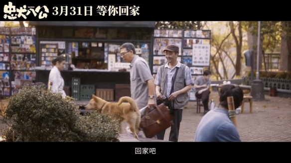 冯小刚与“八筒”相伴！中国翻拍《忠犬八公》新预告！
