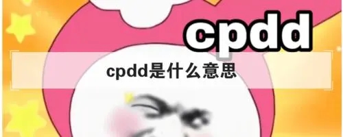 cpdd是什么意思？网络词语cpdd的真实含义都包含了这些方面
