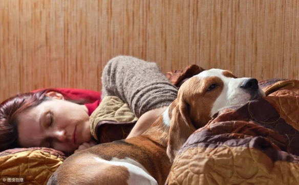 研究称养猫养狗或影响睡眠质量：平均睡眠时间少于6h