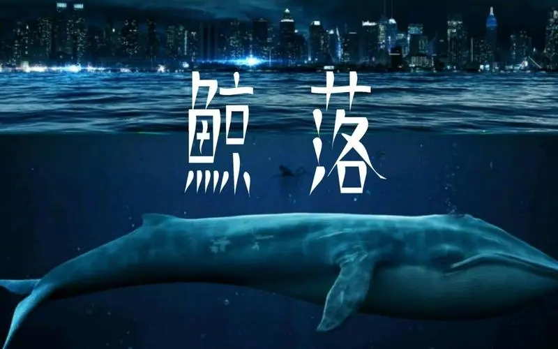 鲸落是什么意思？鲸落的生态意义都有哪些方面