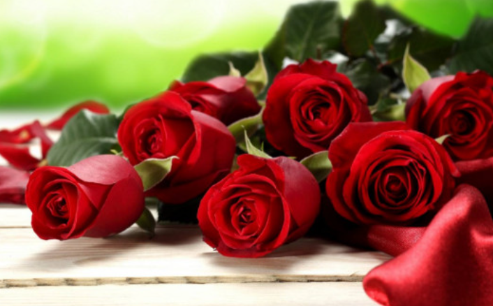 玫瑰花送几朵代表什么？冷知识：送的朵数不一样代表含义不一样