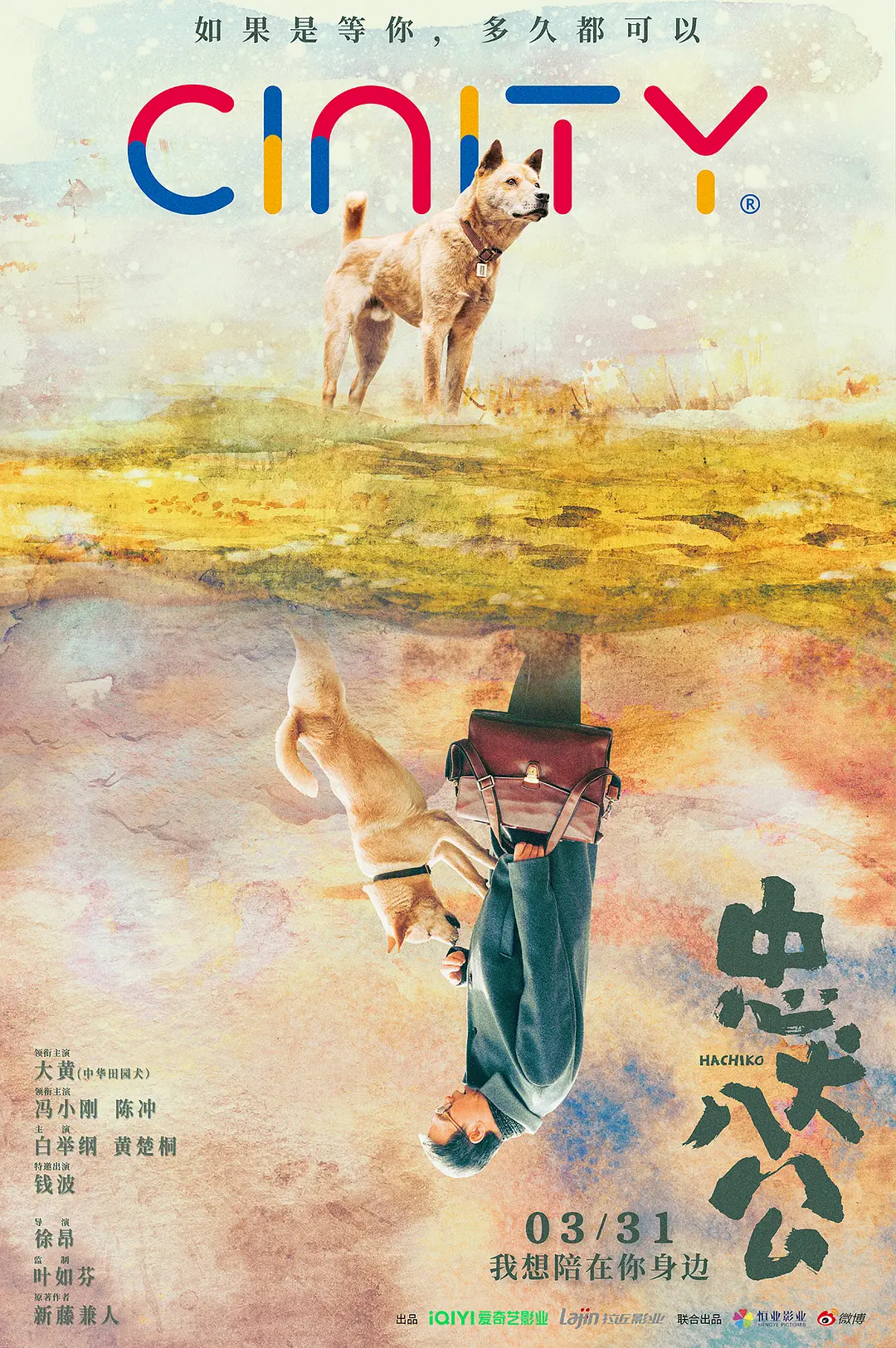 中国版《忠犬八公》今日上映：可怜小狗感动全球数亿人
