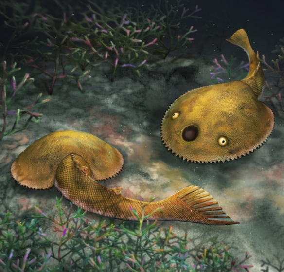 来自4.1亿年前 广西发现九尾狐甲鱼化石:名取自山海经