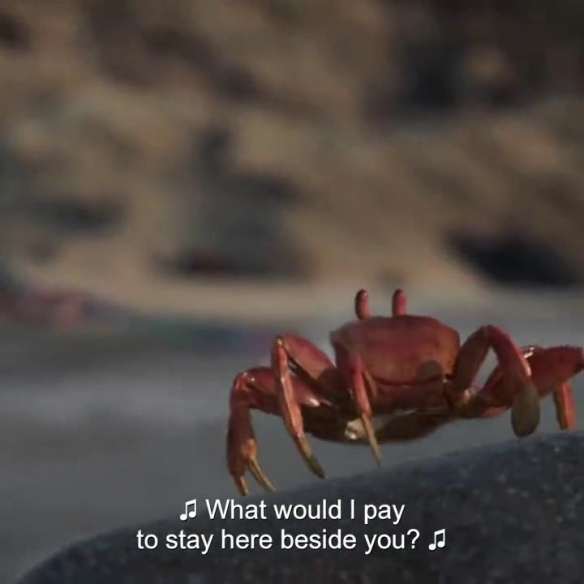 真人版《小美人鱼》发布预告 红蟹塞巴斯蒂安亮相！